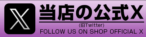 公式X